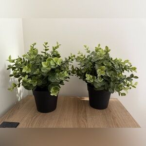 2 faux plants